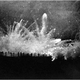 Image for article titled The Real Story Behind the 1914 Christmas Truce in World War I